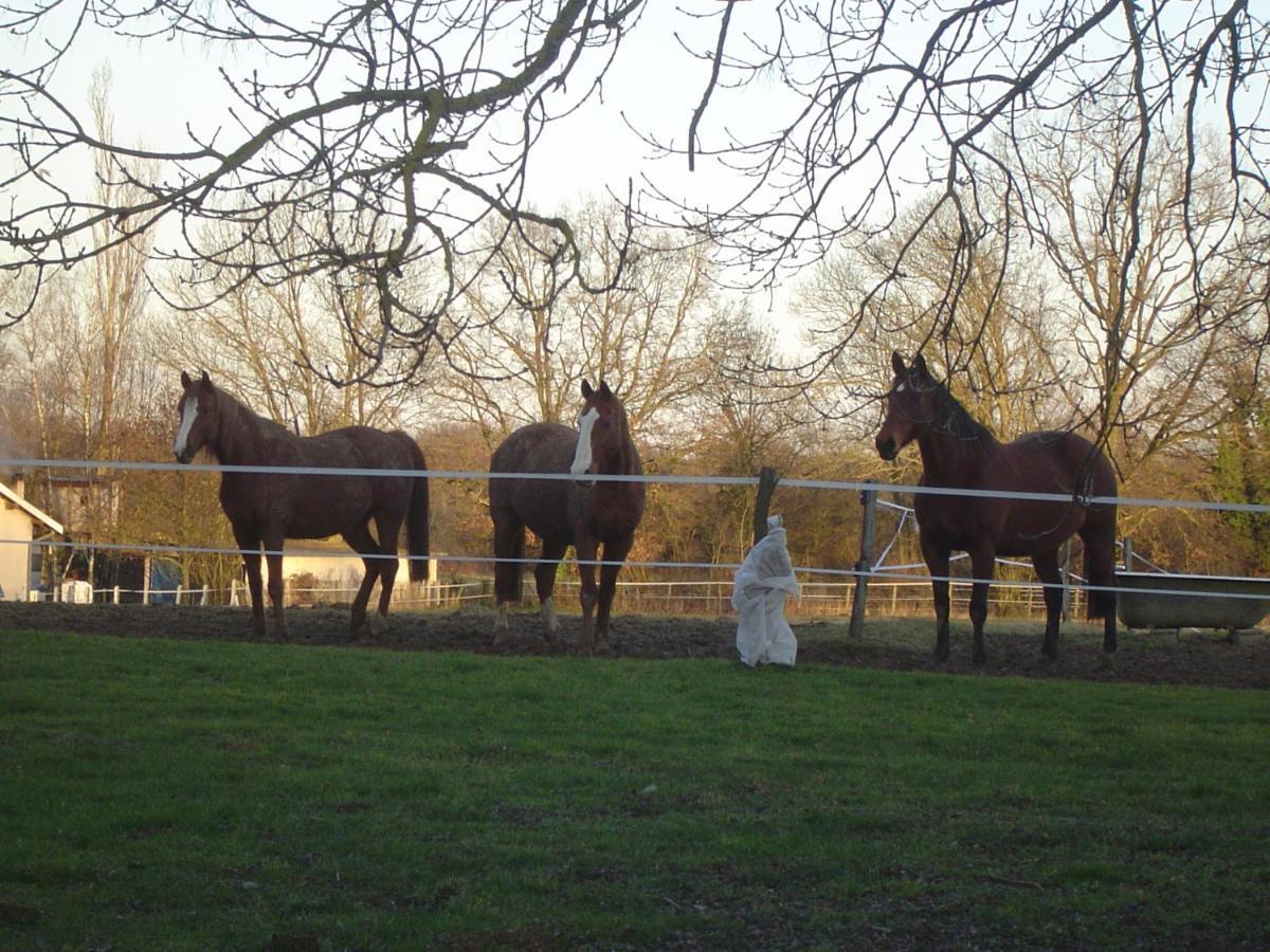 Bed and Breakfast Ferme Passion Saint-Trivier-sur-Moignans Exterior foto